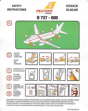 pegasus airlines b737-800 2.jpg